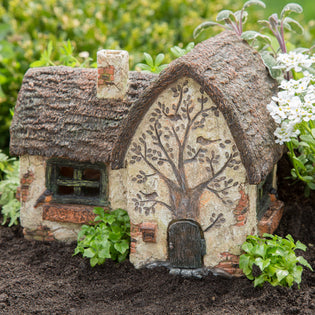  What to Consider Before Starting Your Fairy Garden