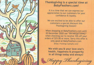  Happy Thanksgiving 2020 10% off orders over $25