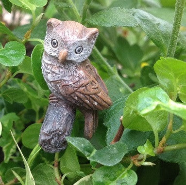 Hoot the Owl: Fairy Garden Animal Miniature - Baby Feathers Gift Shop