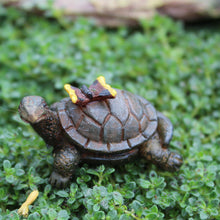  Tony the Turtle: Fairy Garden Miniature Animal - Baby Feathers Gift Shop