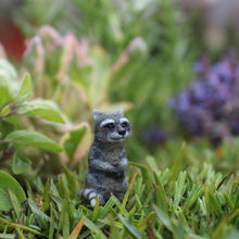  Moe the Raccoon: Fairy Garden Miniature Animal - Baby Feathers Gift Shop