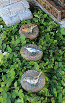  Bird Stepping Stones set of 3 Fairy Garden Landscaping - Baby Feathers Gift Shop