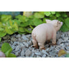 Bacon the Piglet Animal Miniature Barnyard: Fairy Garden Miniatures - Baby Feathers Gift Shop