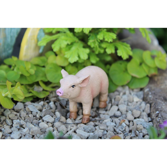 Bacon the Piglet Animal Miniature Barnyard: Fairy Garden Miniatures - Baby Feathers Gift Shop