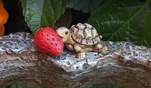  Tommy the Turtle The Wild Ones Collection: Fairy Garden Animal Miniature - Baby Feathers Gift Shop