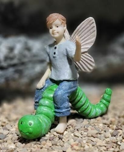 Blake Riding a Caterpillar Boy Fairy: Fairy Garden Backyard Dollhouse Miniature - Baby Feathers Gift Shop