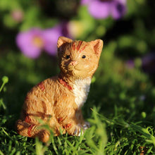  Buttercup the Kitten: Fairy Garden Animal Miniature: Dollhouse Mini - Baby Feathers Gift Shop