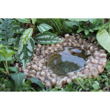  Fairy Pond: Fairy Garden Landscaping Miniature - Baby Feathers Gift Shop