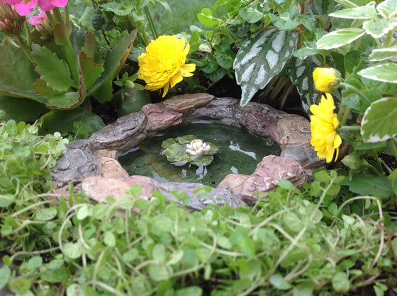 Lily Pad Pond: Fairy Garden Landscaping Miniature - Baby Feathers Gift Shop