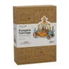 Pumpkin Carriage 3D Wooden Puzzle Music Box DIY Kit - Baby Feathers Gift Shop