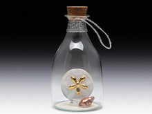  Sand dollar in bottle. - Baby Feathers Gift Shop