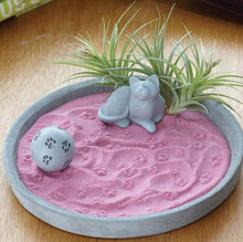  Zen Garden Cement Plate Round 9.5", Mini Garden, Desktop Garden - Baby Feathers Gift Shop